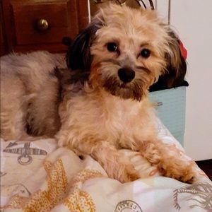 Meet your Posher, Connie